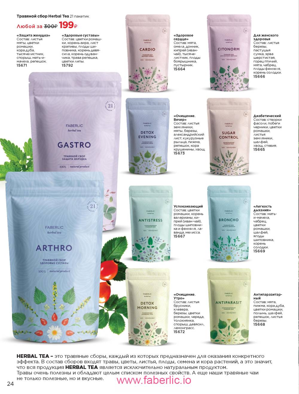 Каталог wellness 2023
