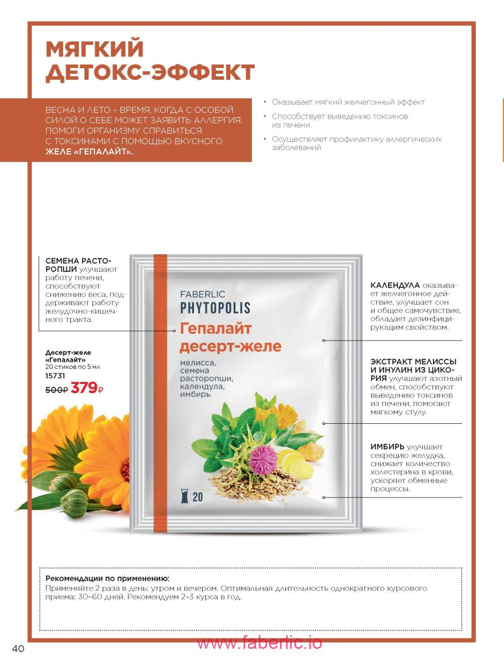 Каталог wellness 2023