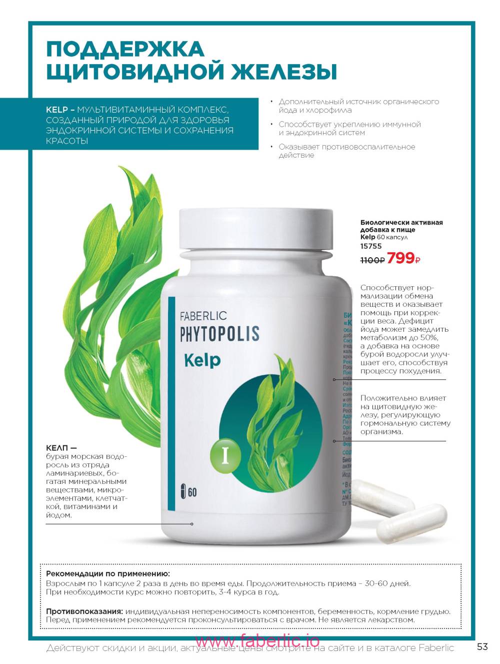 Каталог wellness 2023