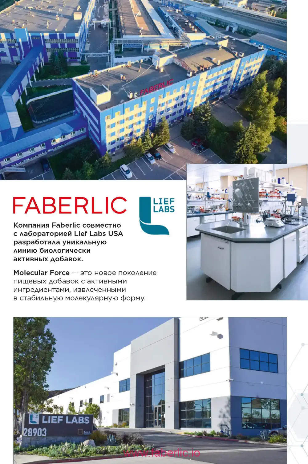 молекулярные бады Фаберлик каталог 2024