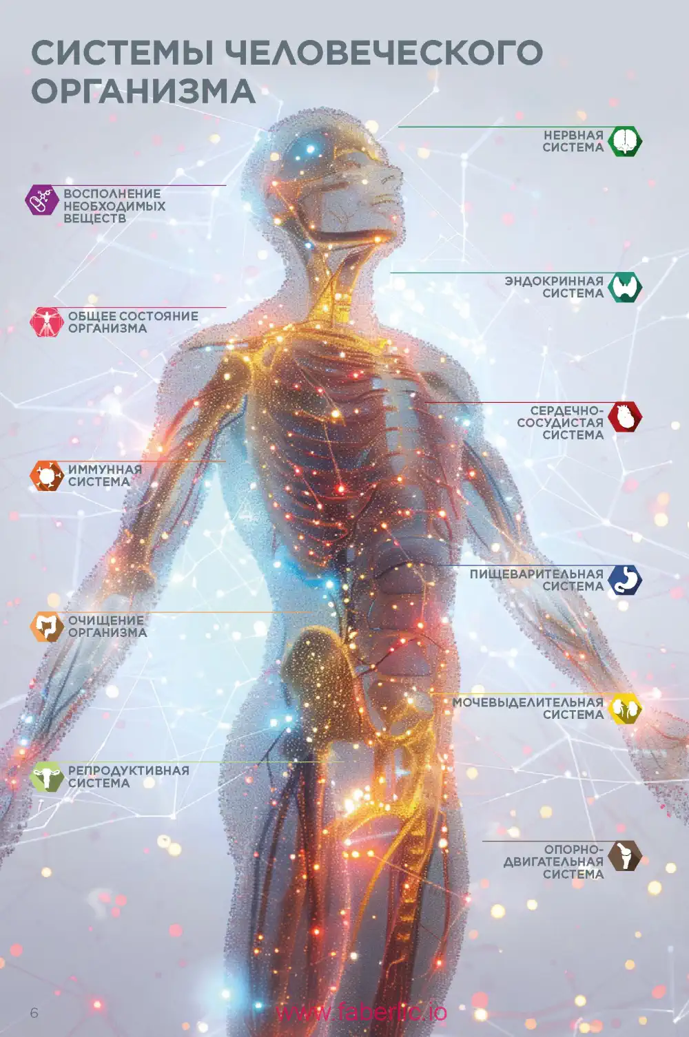 молекулярные бады Фаберлик каталог 2024